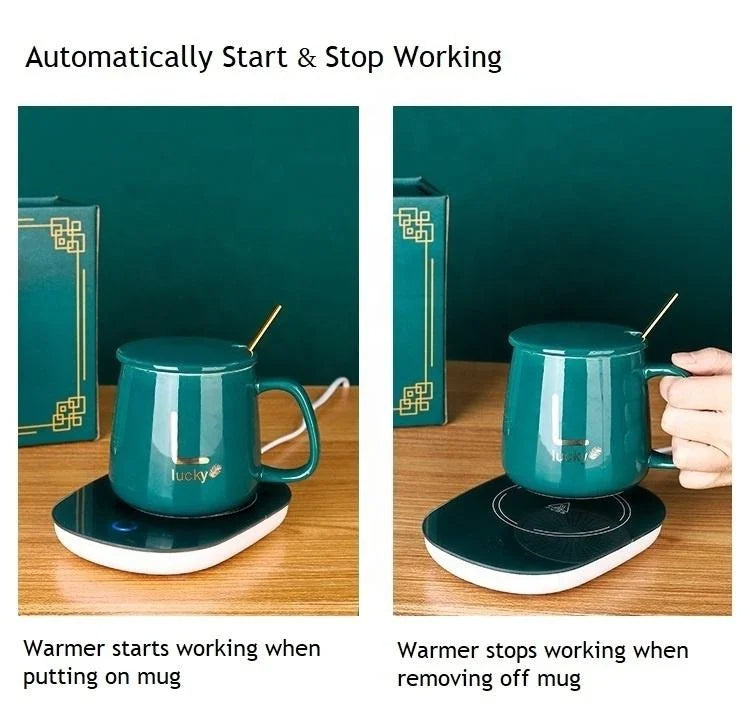 SET TAZA CALENTADORA ELÉCTRICA