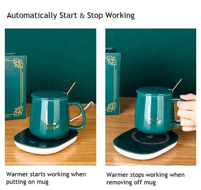 SET TAZA CALENTADORA ELÉCTRICA